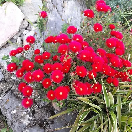 A Ridosso Bed and Breakfast