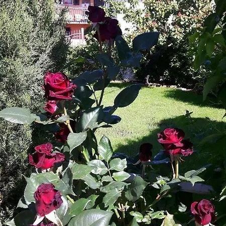 A Ridosso Bed and Breakfast Riccο del Golfo di Spezia