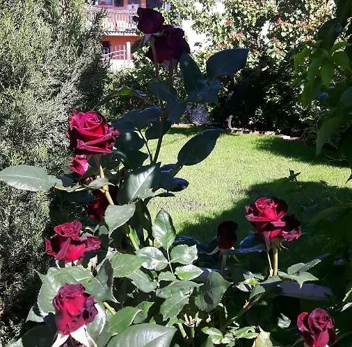 A Ridosso Panzió Riccò del Golfo di Spezia